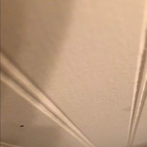 Meet your Posher, Ben